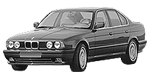 BMW E34 P0483 Fault Code